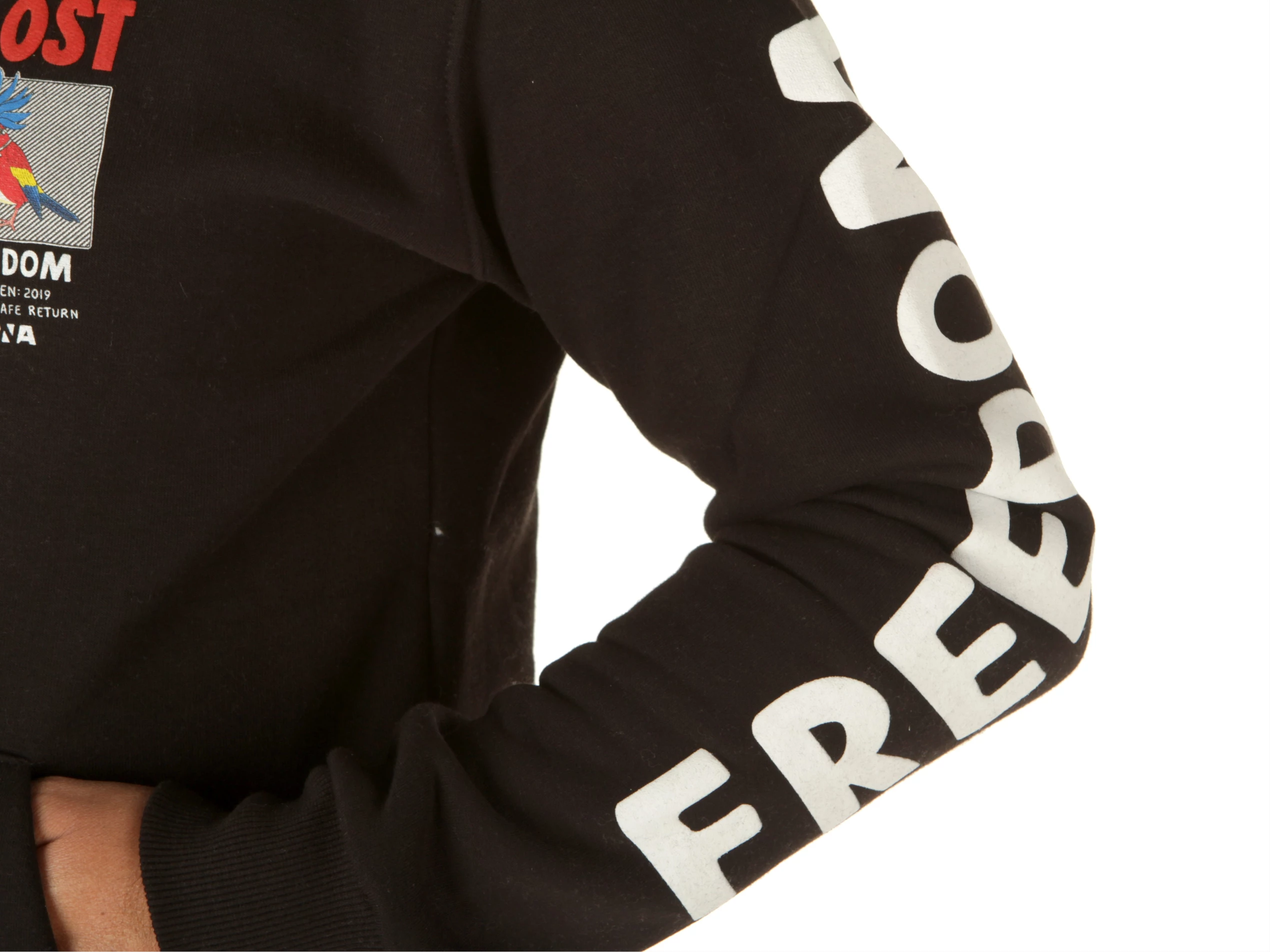 Felpa Cappuccio Pappagallo Nero Felpe uomo Berna YOUSPORTY