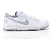 Nike BIG NIKE LOW man 355152 106