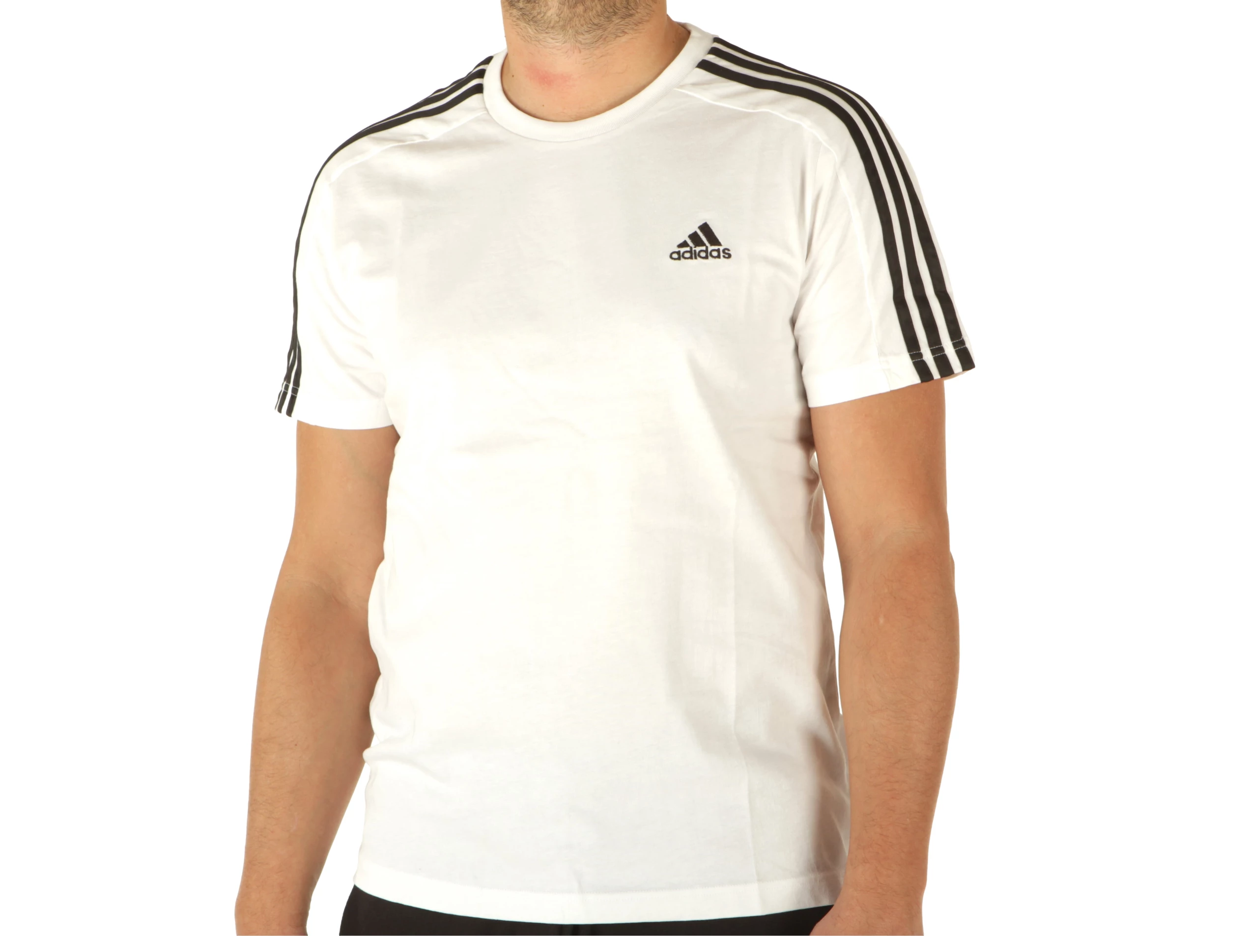 M 3s Sj T - T-Shirt uomo Adidas | YOUSPORTY Acquista online