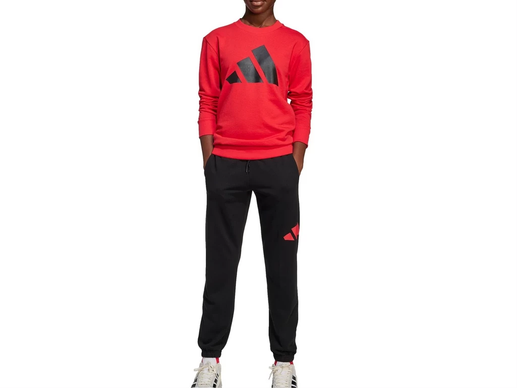 Adidas Sportswear Big Logo junior JD2099