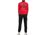 Adidas Sportswear Big Logo junior JD2099