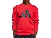 Adidas Sportswear Big Logo junior JD2099