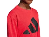 Adidas Sportswear Big Logo junior JD2099
