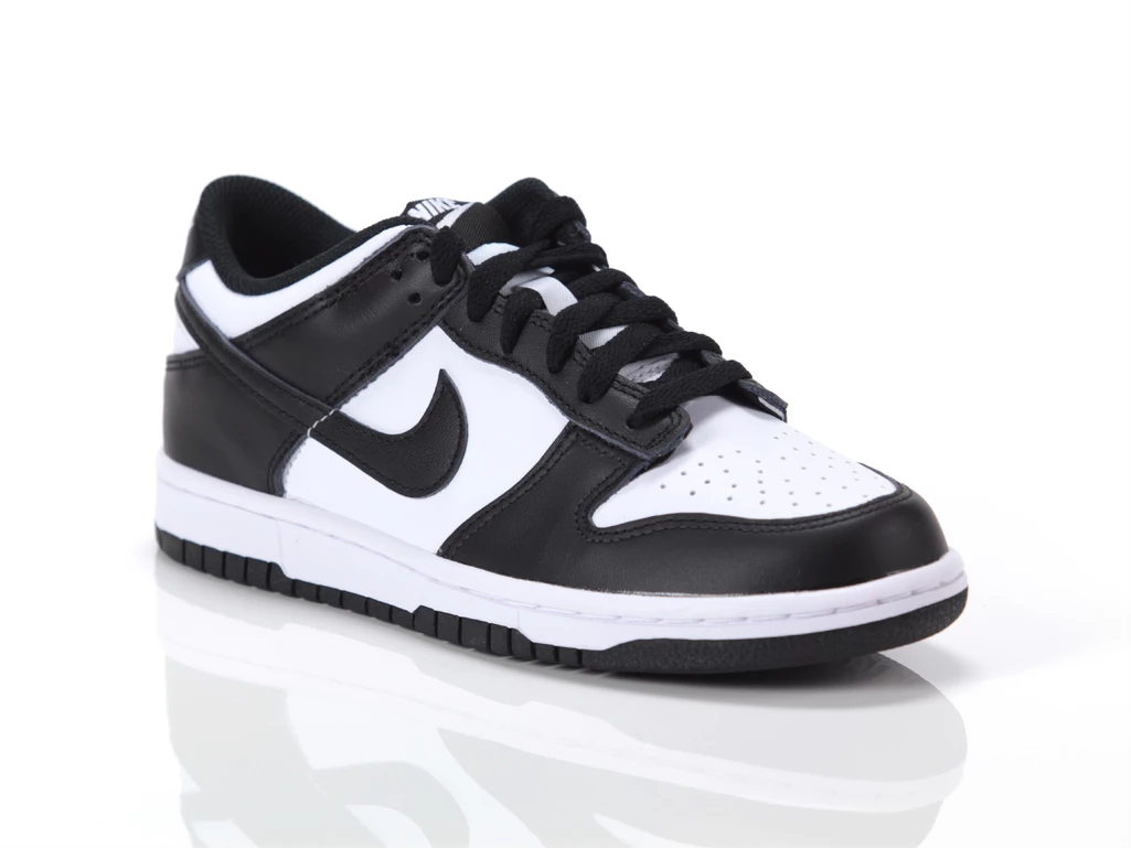 Nike Nike Dunk Low GS woman/child CW1590 100