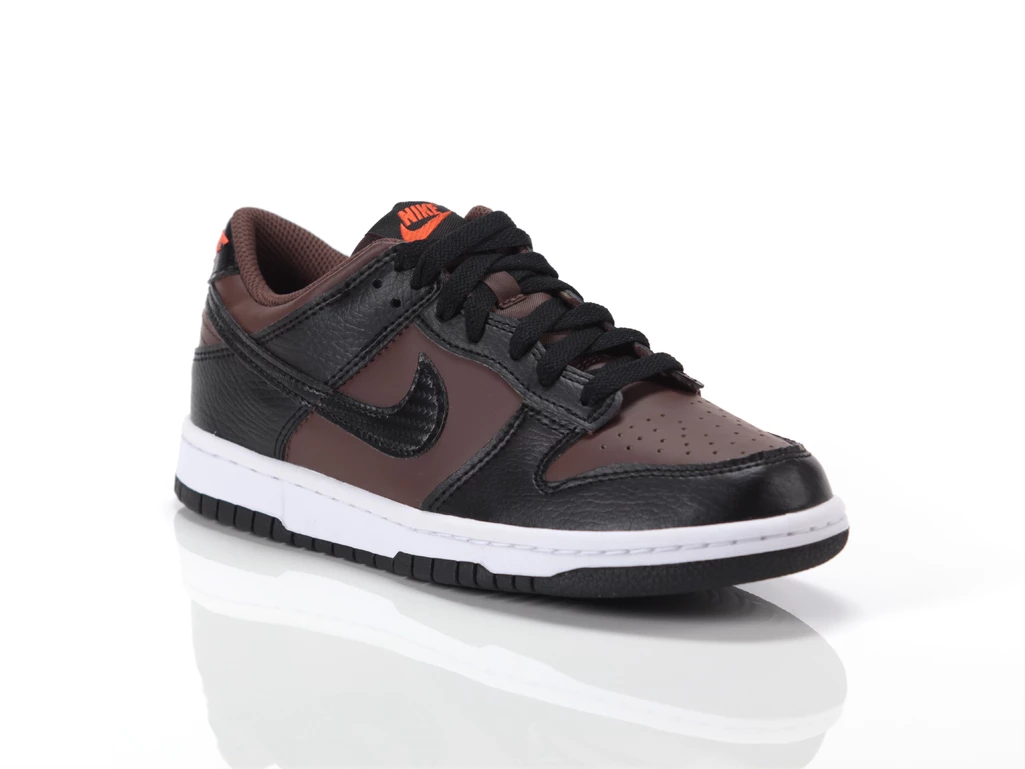 Nike Dunk Low GS woman/child IQ0311 216