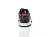 Nike Dunk Low GS woman/child IQ0311 216