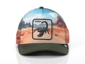  SCORPION IN THE ELEMENT - Cappelli unisex Goorin. Disponibile in diverse taglie: t-u e colori verde, azzurro. YOUSPORTY.