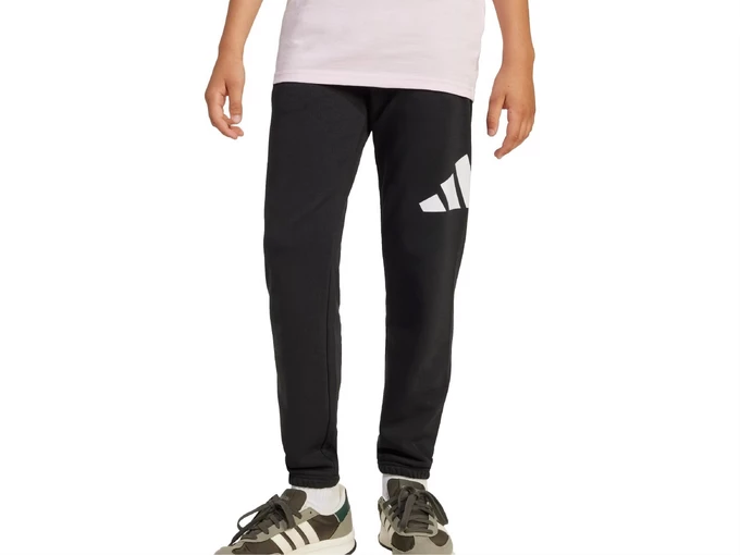 Adidas BIG LOGO PANT junior JD2090