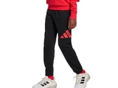 Adidas Sportswear Big Logo junior JD2099