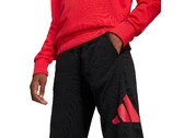 Adidas Sportswear Big Logo junior JD2099