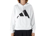 Adidas BIG LOGO HOODIE mujer JN1843 